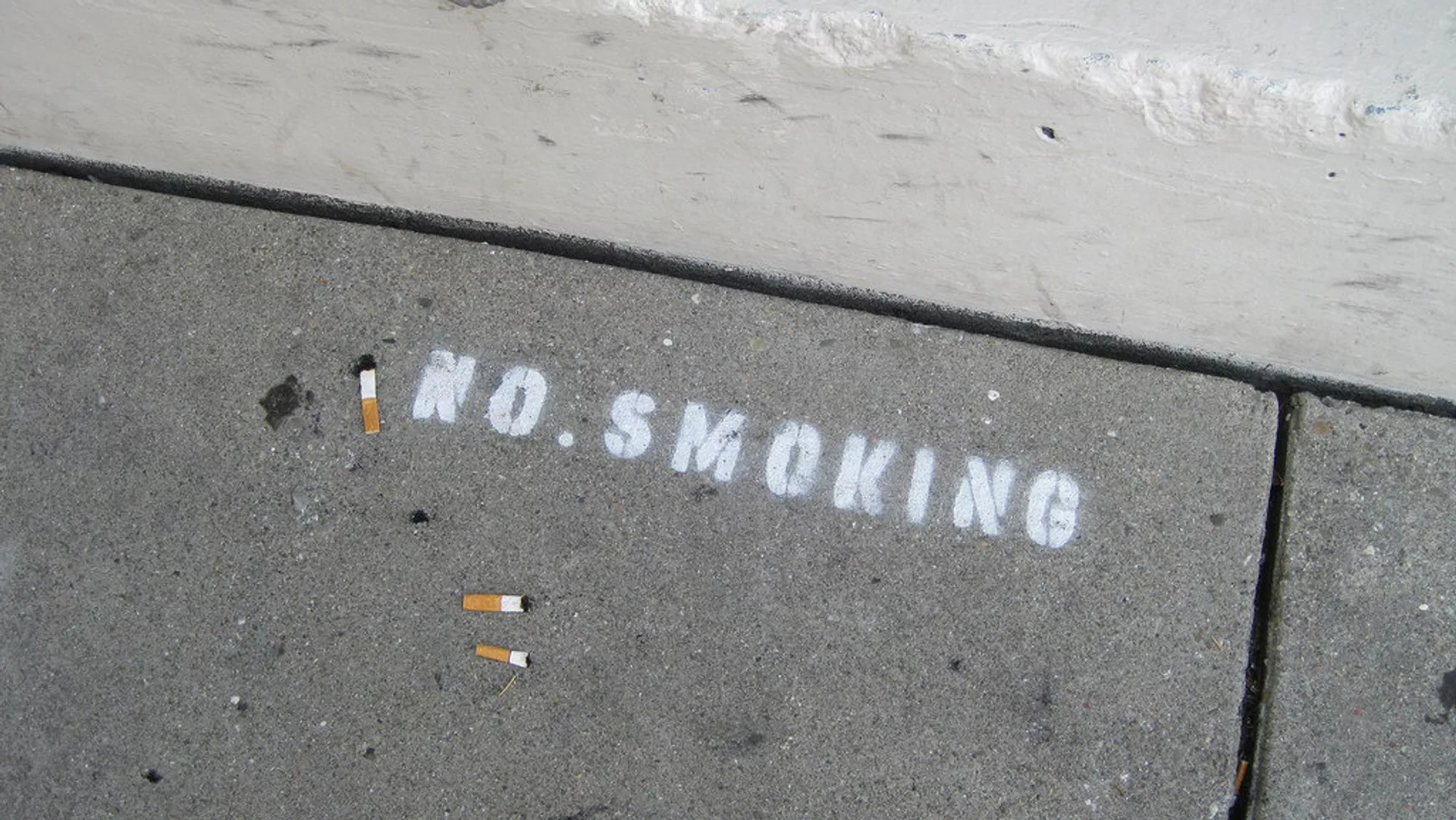 Латвия: Страна превращается в&nbsp;ведущий центр производства контрафакта – фото