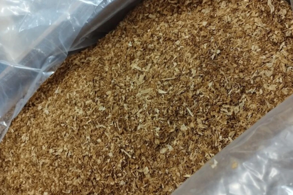 Петербург: 13 живых мух-горбаток найдены в&nbsp;табаке из Танзании – фото