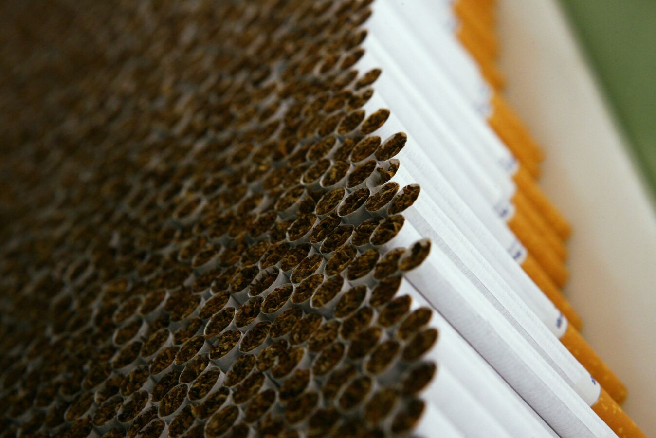 Польша: Полиция накрыла три подпольные фабрики – фото