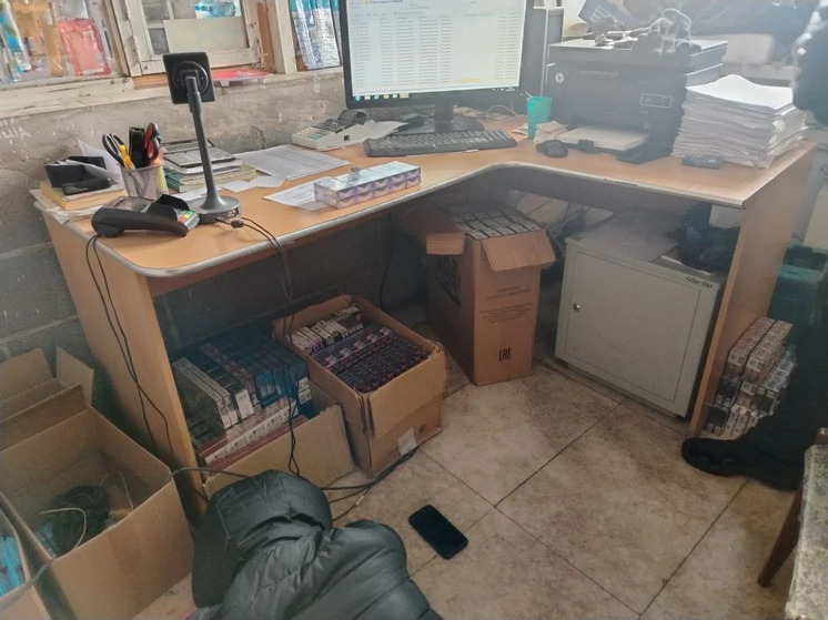 Челябинская область: Легальные иностранцы занимались нелегальным бизнесом – фото