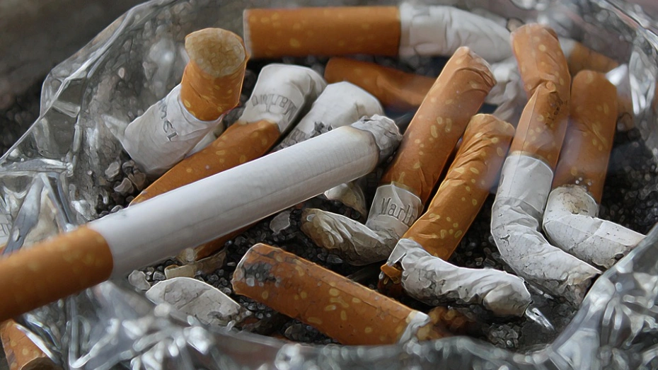 Рекордное изъятие контрафактного табака в Воронеже – фото
