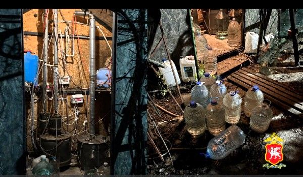 Крым: Во время операции «Алкоголь» нашли 50 тыс пачек табачных изделий – фото