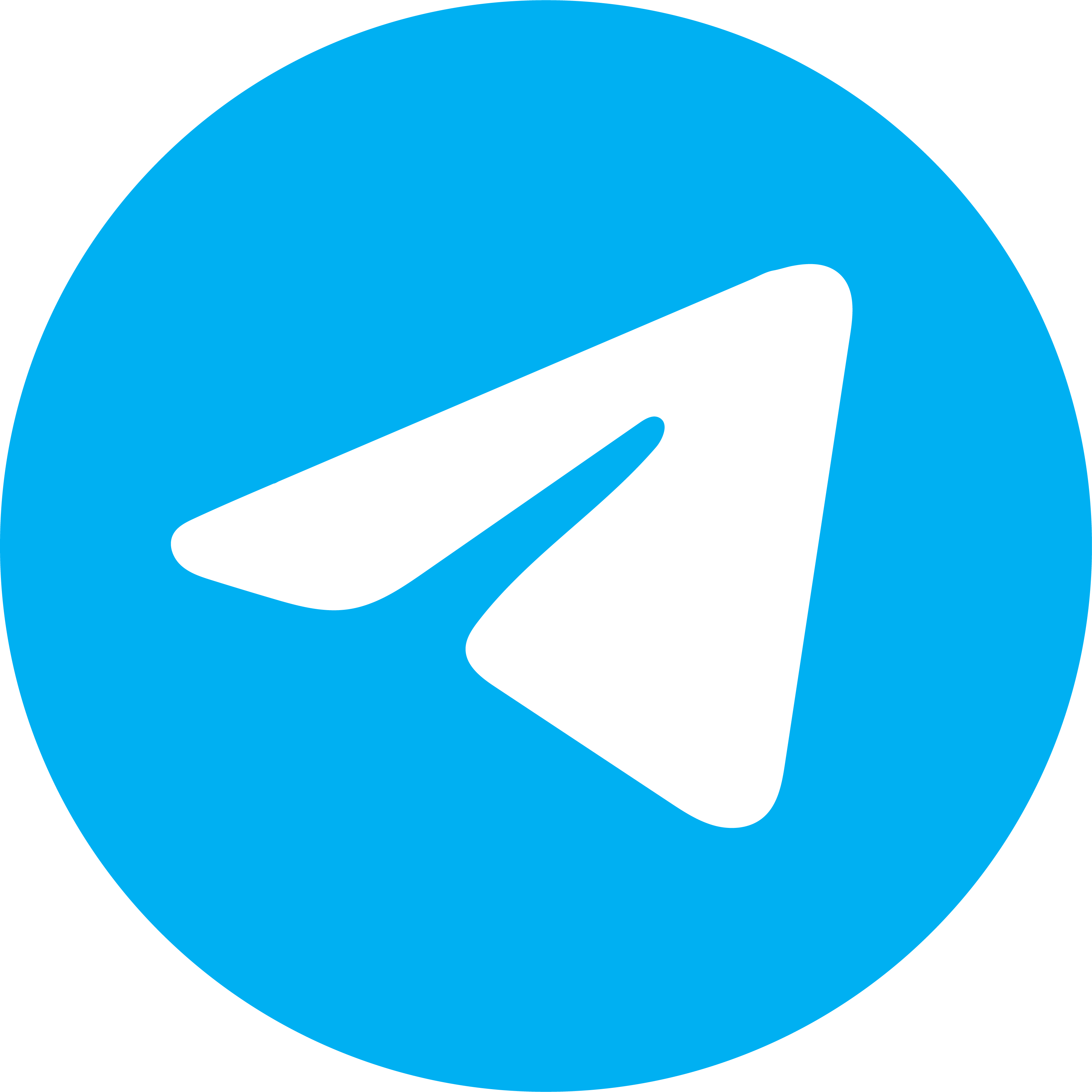 Росконгресс: Табак в Telegram – опасно для кошелька – фото