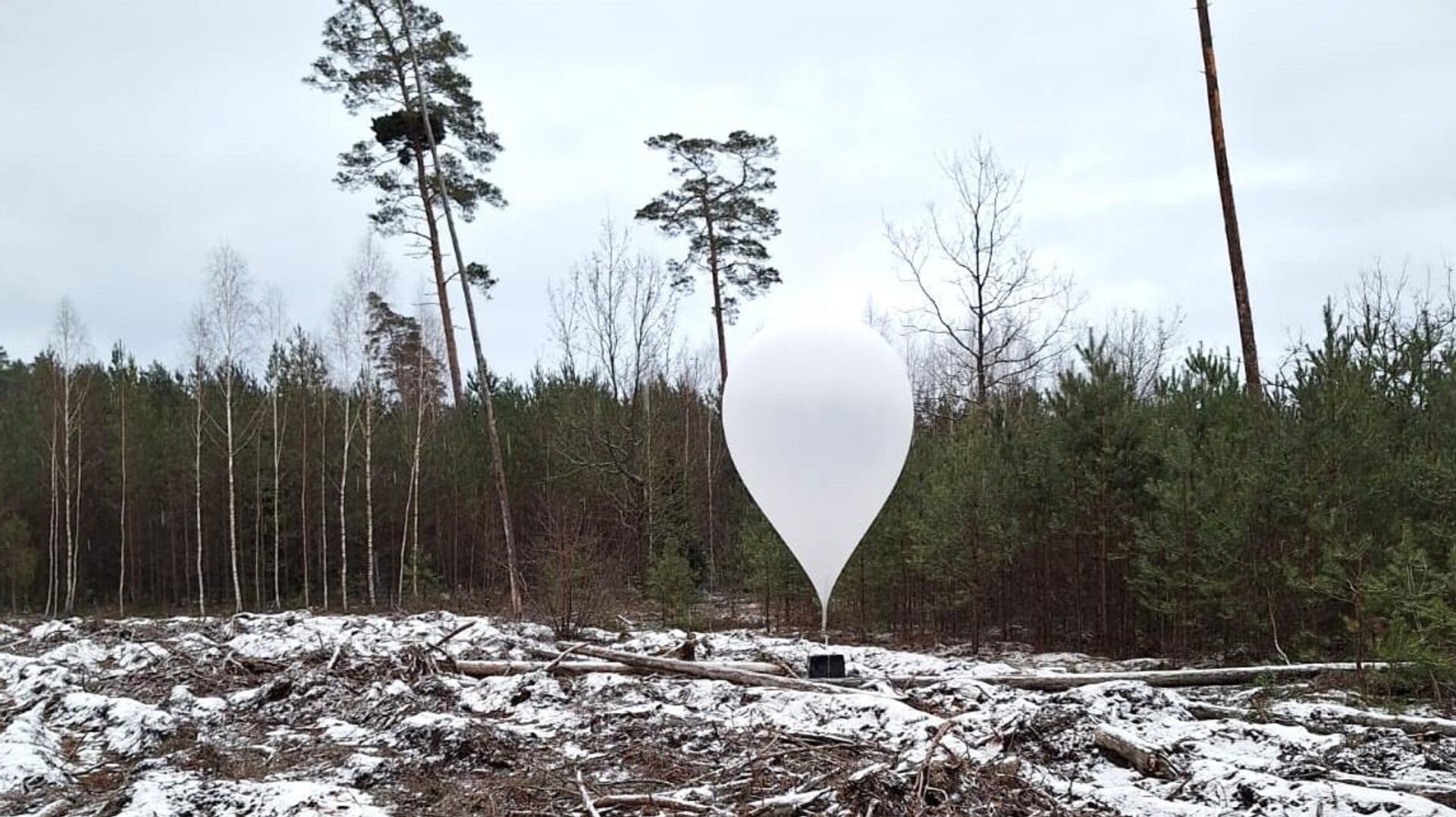 Литва: Снова закроют границу? – фото