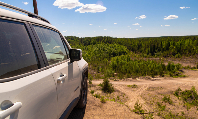 Карелия: Штраф и конфискация - с учетом смягчающих обстоятельств – фото