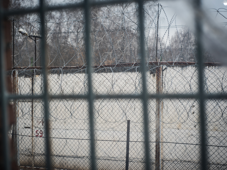 Новосибирская область: Проверочная закупка раскрыла бизнес-план на&nbsp;2 млн руб – фото