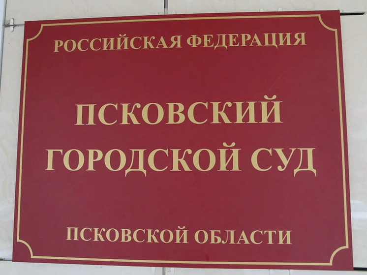 Псковская область: Контрабандиста – в СИЗО на период следствия – фото
