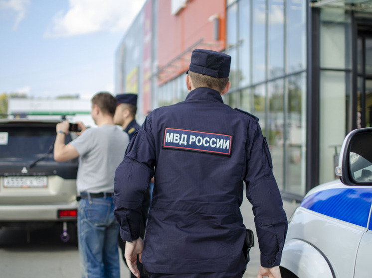 Новосибирская область: 3,5 тыс бутылок и 12 тыс пачек сигарет – фото
