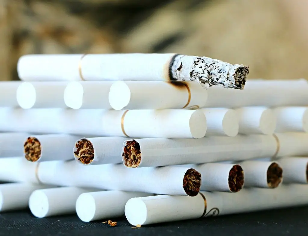 3,6 млн пачек сигарет задержали на таможнях Северо-Запада за полгода – фото