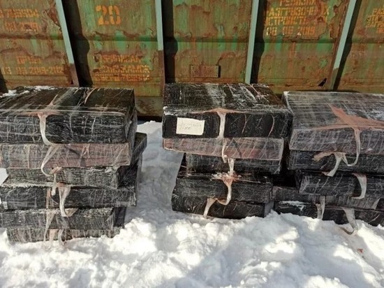 Псковские пограничники перехватили контрабандные сигареты на 400 тыс. рублей по пути в Латвию – фото
