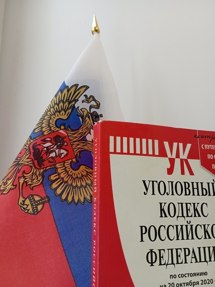 Владимирская область: Маршрут Москва – Киржач закончился в суде – фото