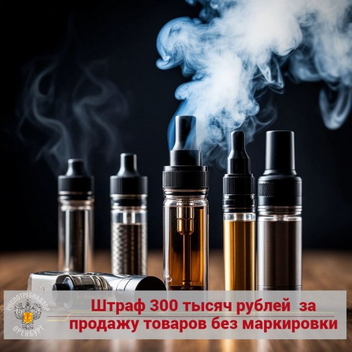 Оренбургская область: Суд оштрафовал и&nbsp;постановил уничтожить изъятое – фото