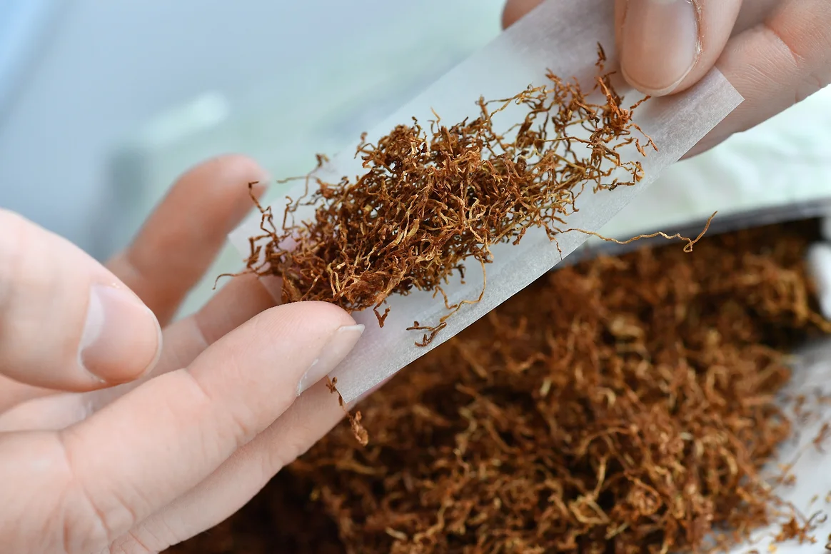 Краснодарский край: 7 млн единиц нелегальной табачной продукции с начала года – фото