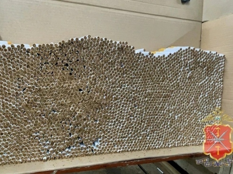 Тула: Табак из Зареченского района до суда довел – фото