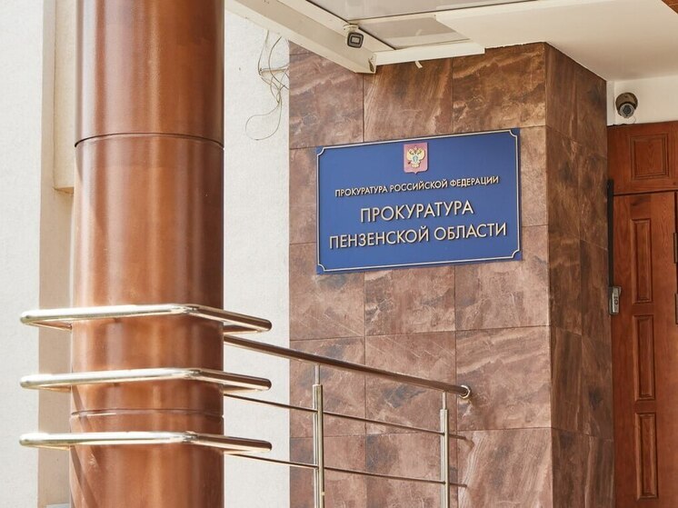Пензенская область: 17 млн руб - с сентября 2024 по март 2025 года – фото