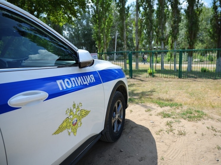 Волгоград: Король контрафакта идет под суд по делу о 7 млн – фото