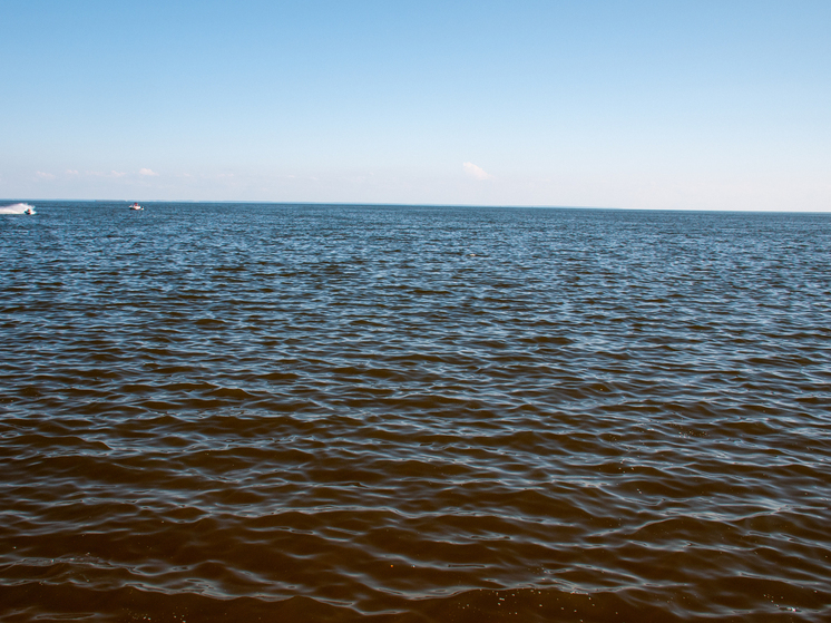 Дагестан: Море принесло сигареты из Грузии – фото