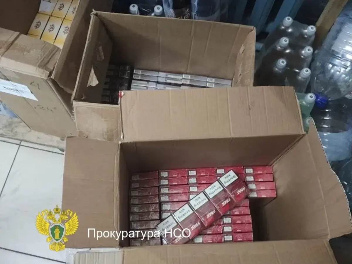 Новосибирская область: Две пенсии за контрафакт – фото