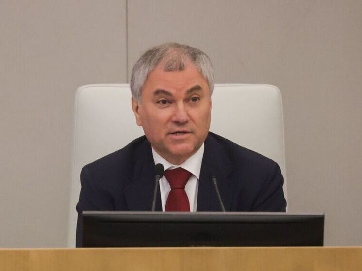 Госдума: Вячеслав Володин упрекнул Ирека Файзуллина – фото