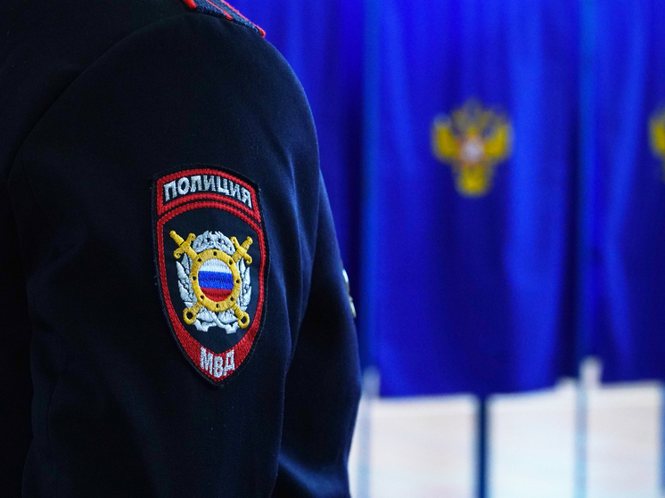 Новосибирск: На Красном проспекте изъяли жевательный табак – фото