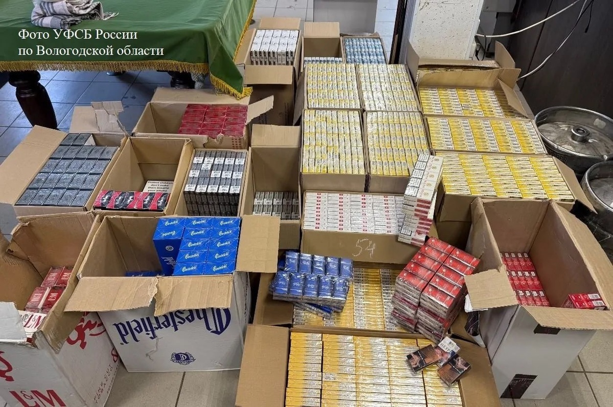 Вологодская область: Один покупал сигареты «для себя и&nbsp;отправки на&nbsp;СВО», другой «не знал» – фото