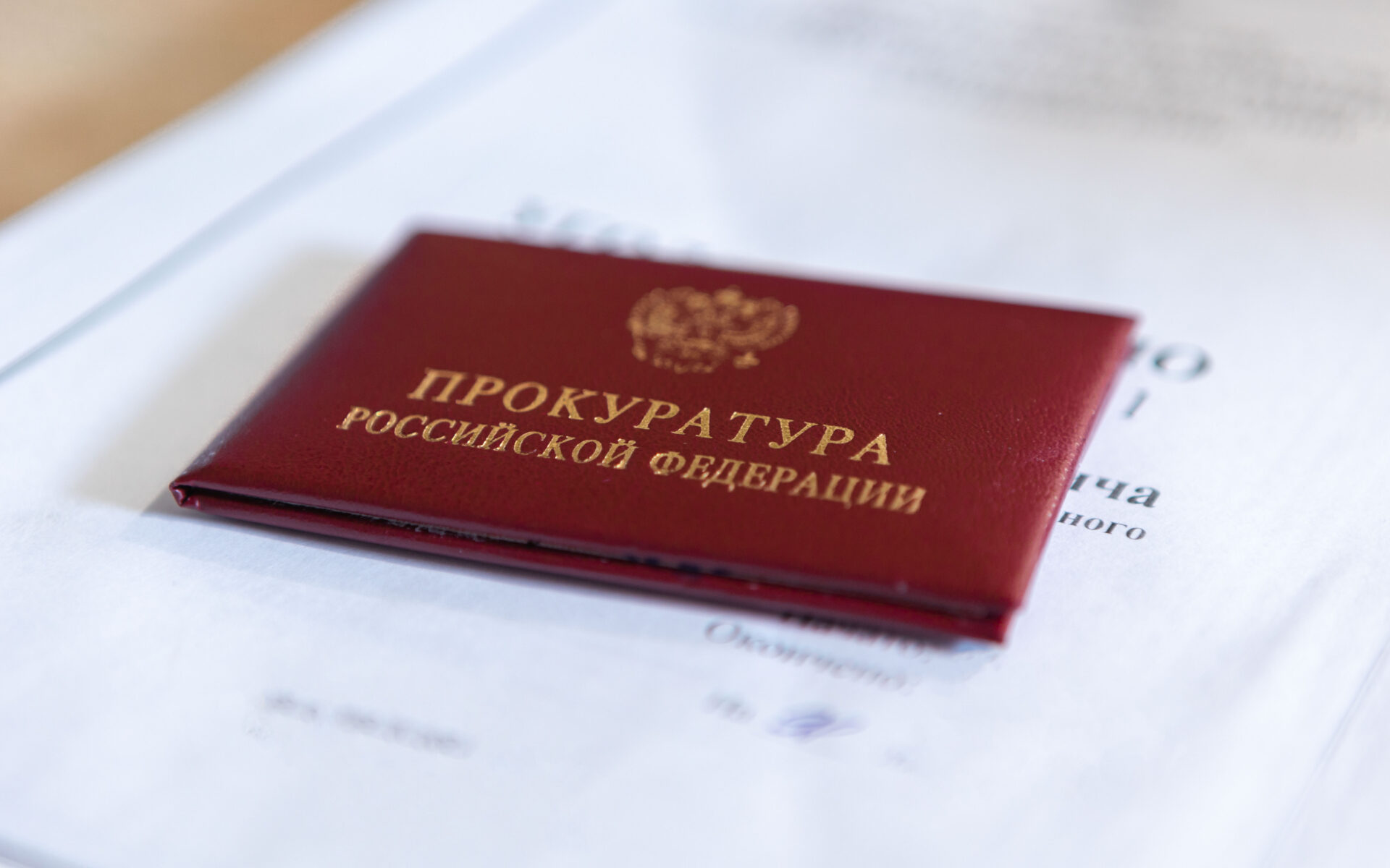 Владимирская область: Поиск дополнительного дохода привел в суд – фото