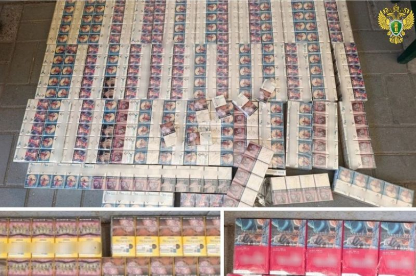 Запорожская область: Контрафакт в&nbsp;продажу не пошел – фото