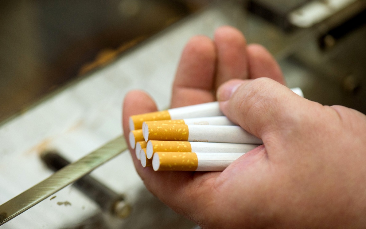 Евгений Попов: Предпосылок к введению поколенческого запрета у&nbsp;нас нет – фото