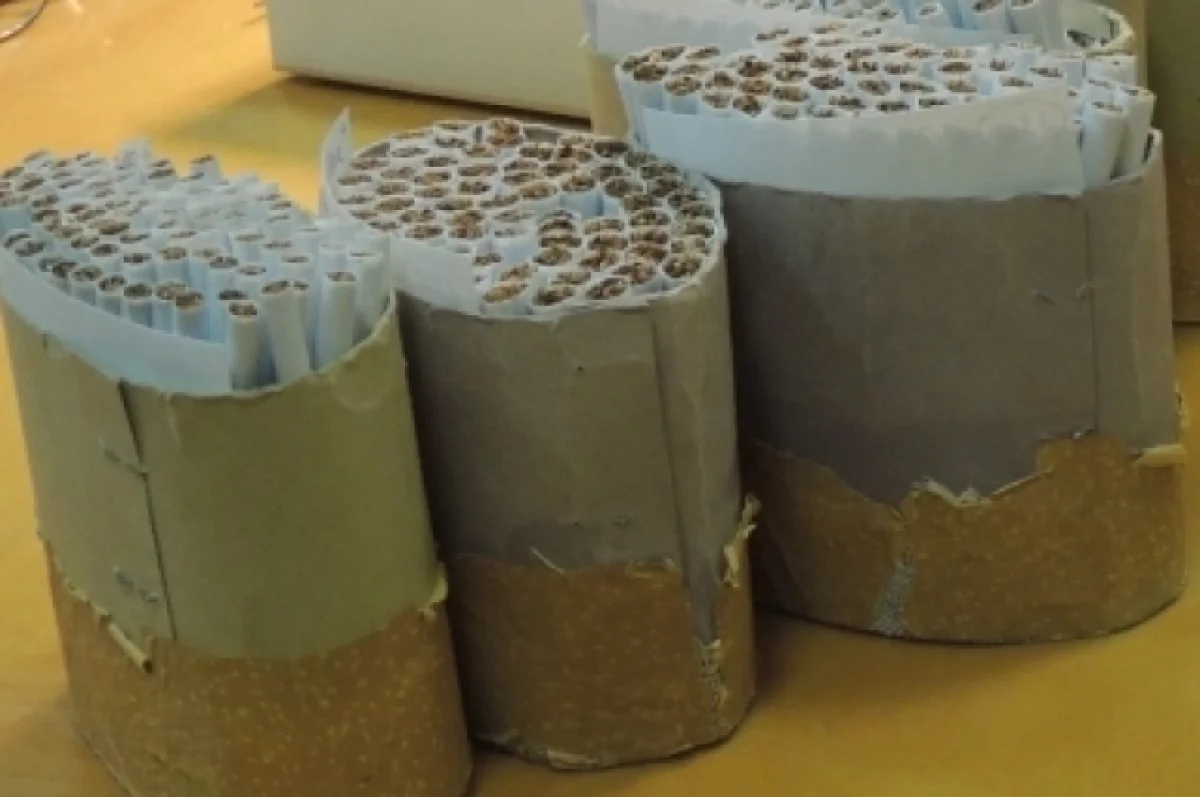 Марий Эл: Раскаялась, но 50 тыс руб заплатить придется – фото