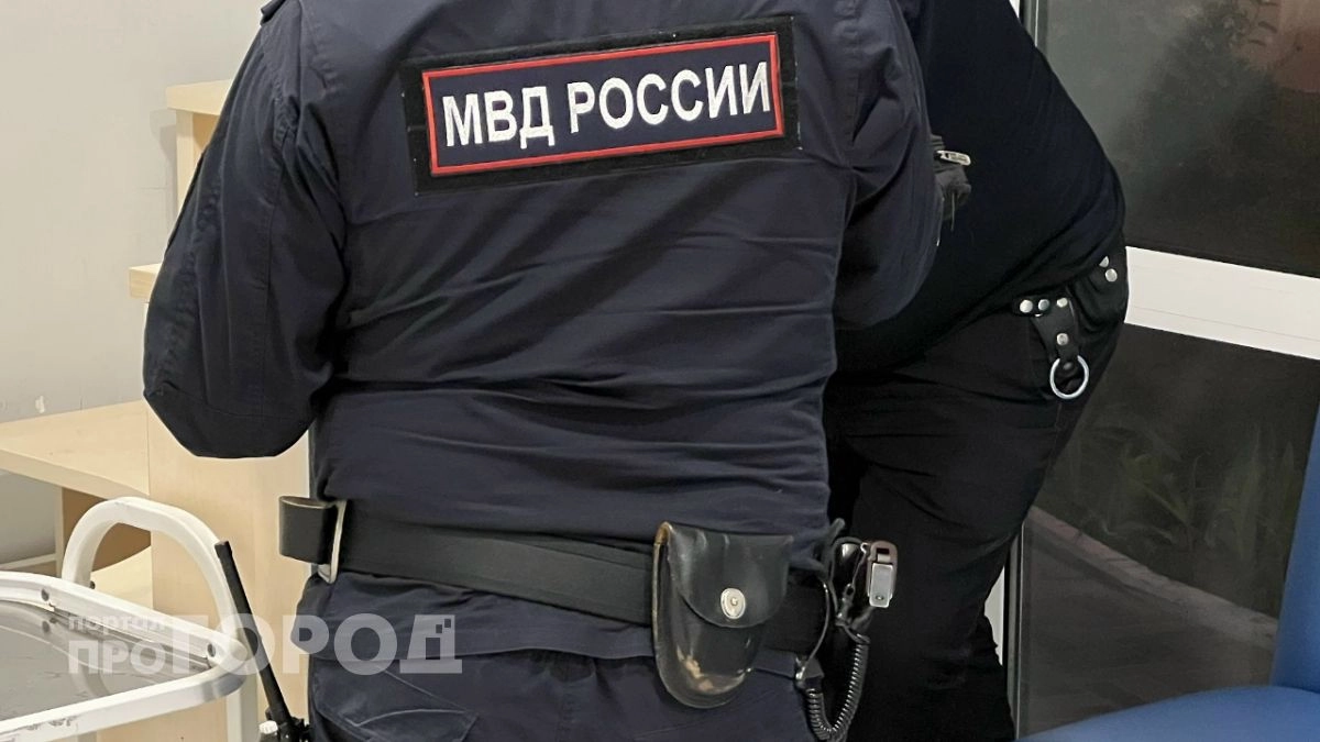 Нижегородская область: Улов на 10 млн руб – фото
