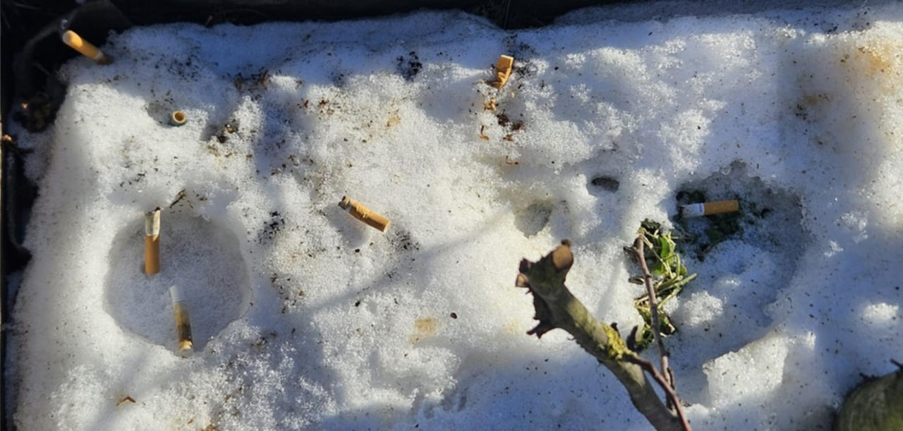 ВОЗ: Европа курит больше всех – фото