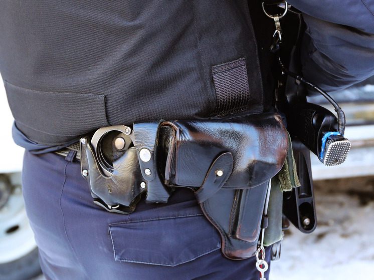 Челябинская область: Полиция устанавливает причастных – фото