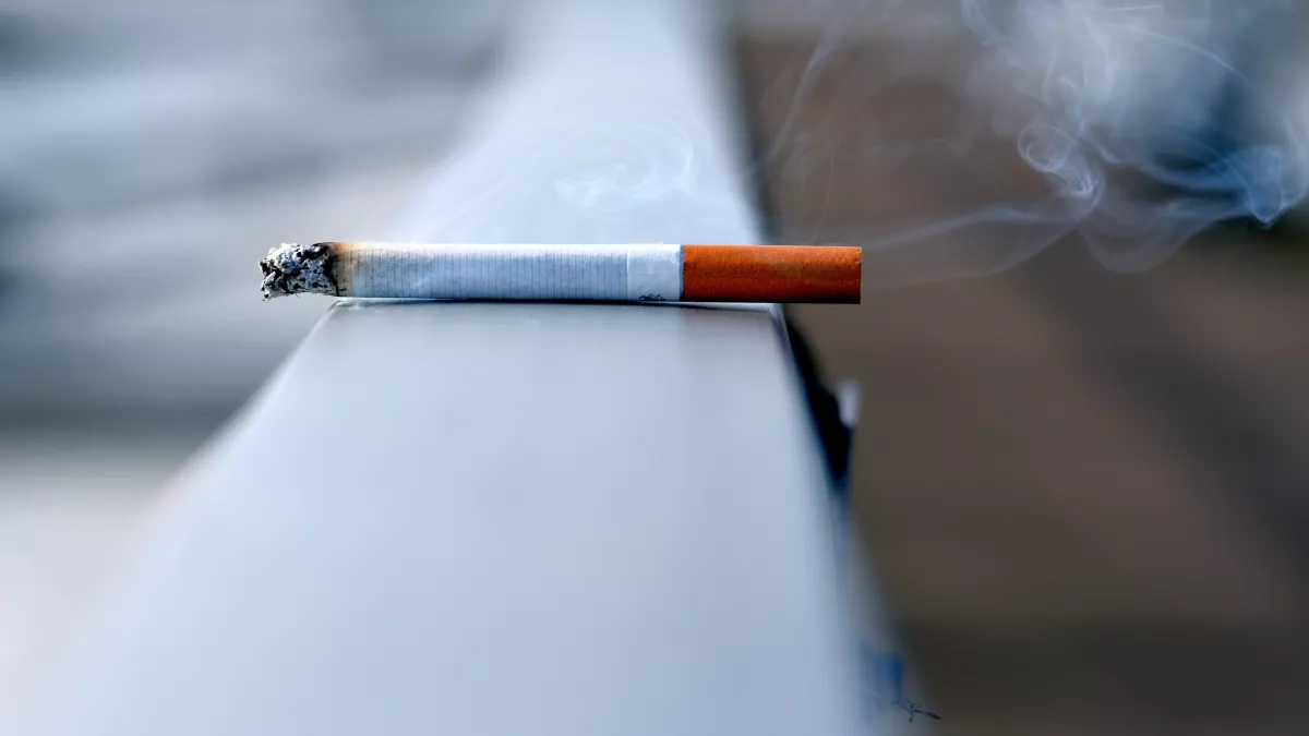 2/3 россиян могут перейти на нелегальный табак в случае подорожания сигарет – фото