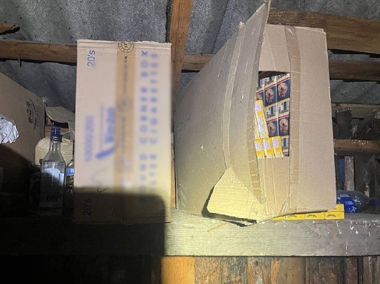 Курганская область: Переоборудовал свой дом в склад контрафакта – фото