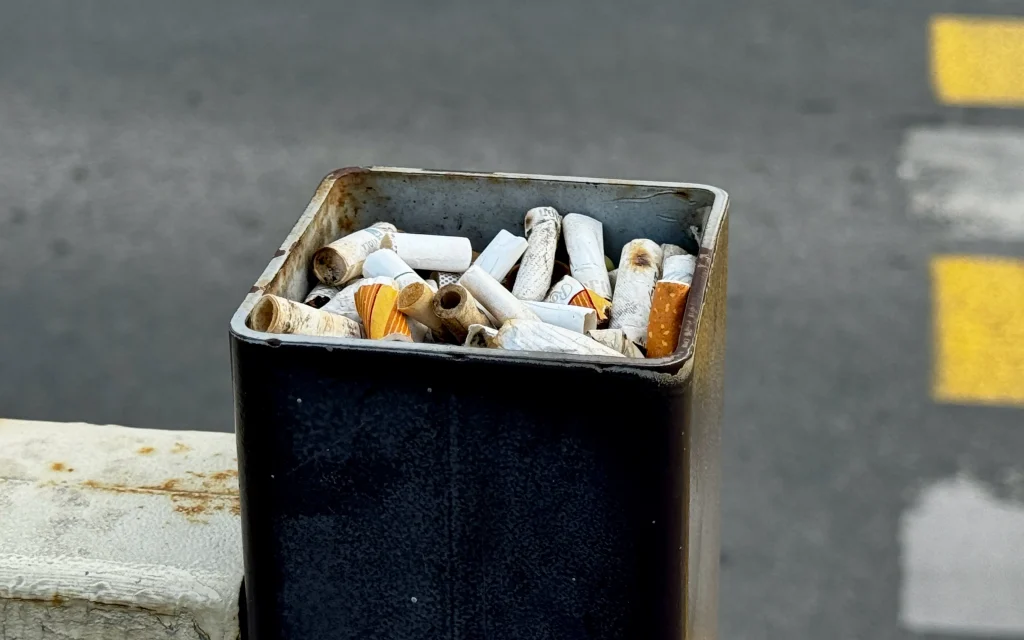 Брянская область: «Женское трио» получило свои сроки – фото