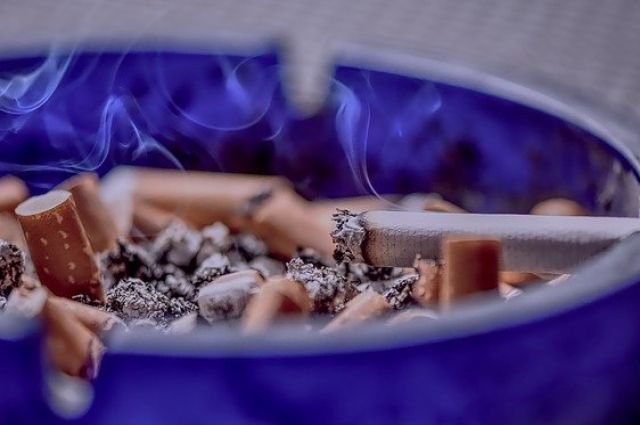 Как нелегальный табак открывает дверь в мир преступности – фото