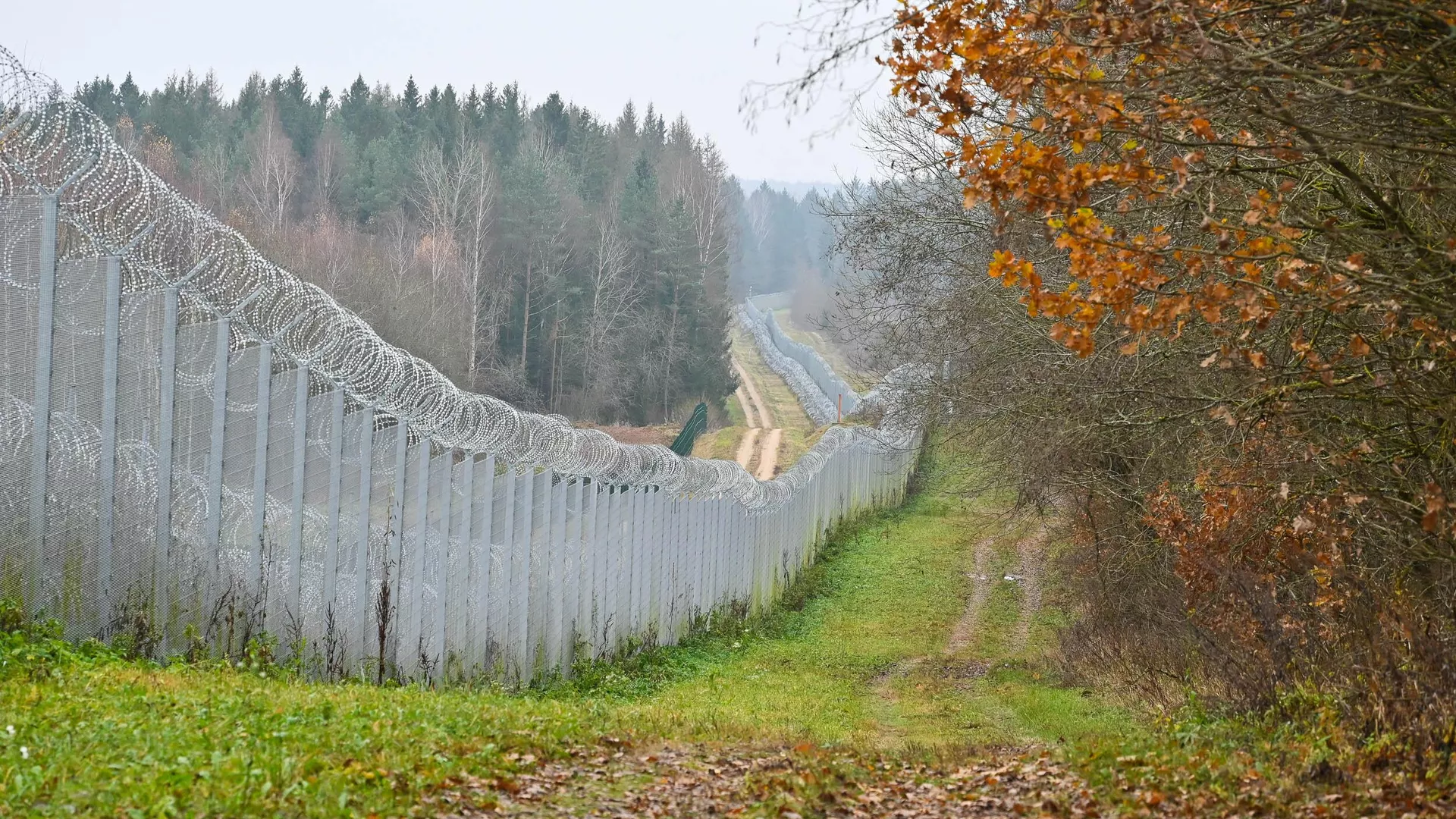 Литва: Тюки с&nbsp;сигаретами кидали через забор на&nbsp;границе – фото