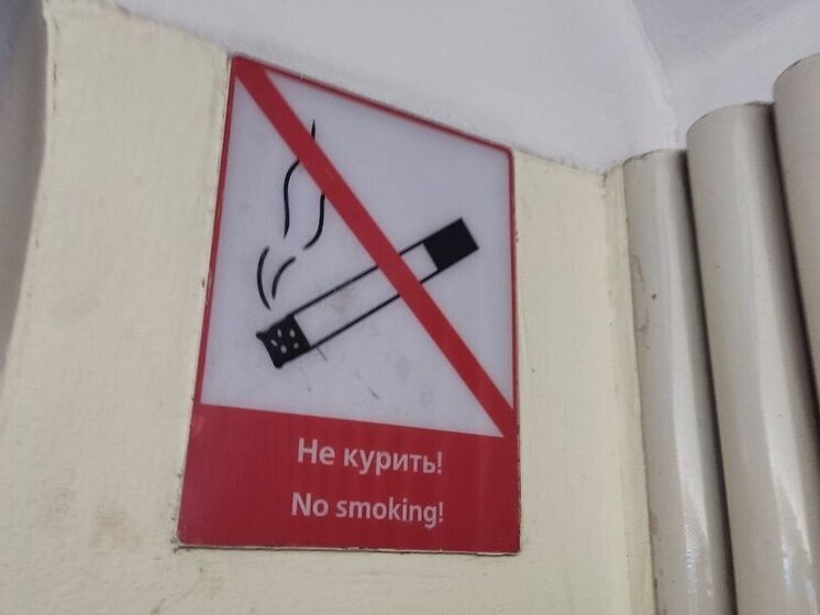 Санкт-Петербург: Возраст жадности не помеха – фото