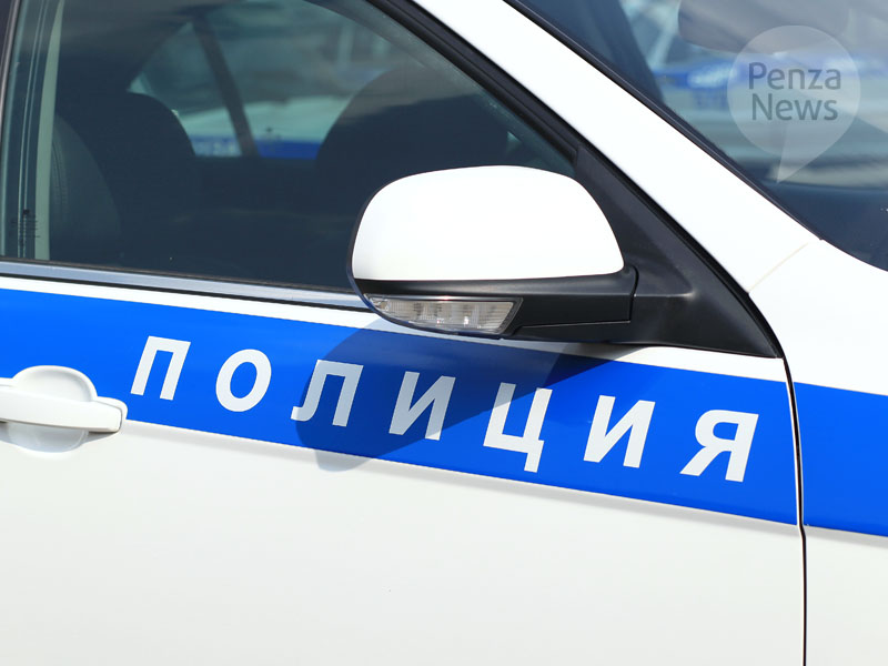 Пензенская область: Сколько же продал, пока не попался? – фото