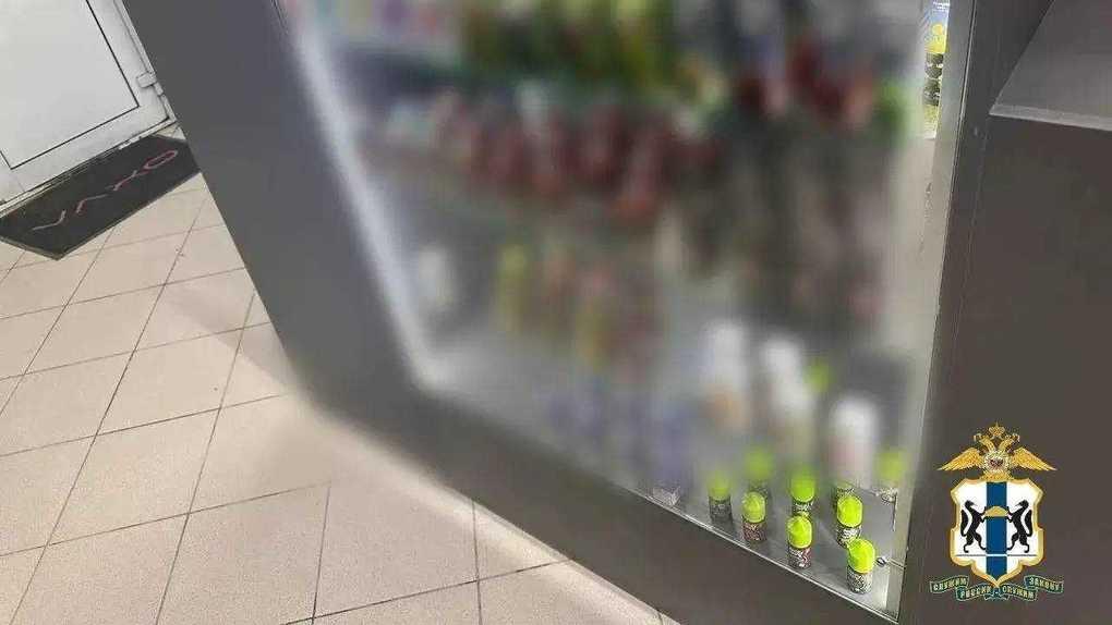 Новосибирск: Проверка на проспекте Дзержинского – фото